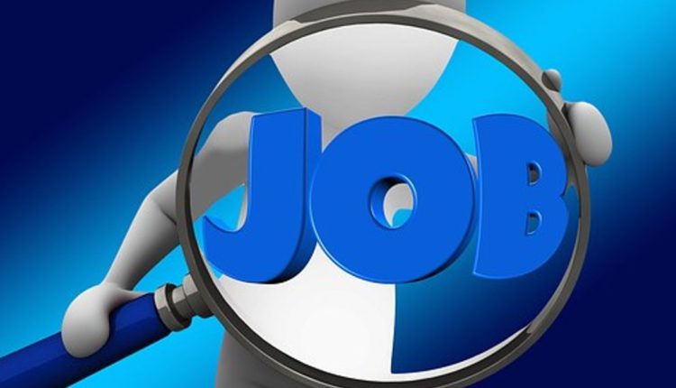 Searching For Employment