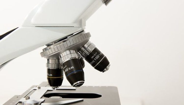 Why Calories Don't Count