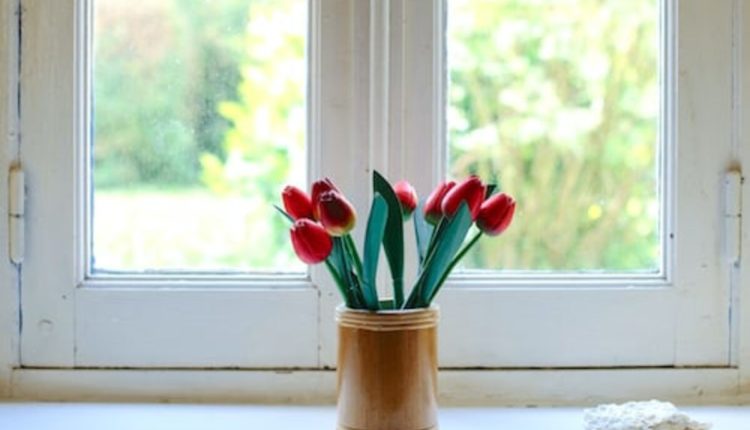 Fineo vacuum glazing