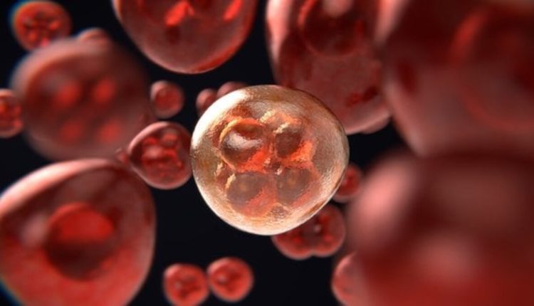 How Food Affects Your Cancer Genes