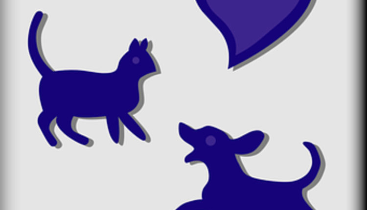 How to Find a Good Dog Rescue Society