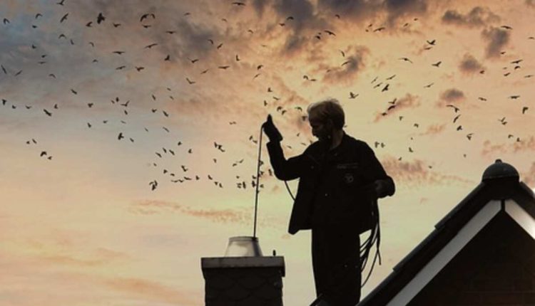 professional chimney sweep