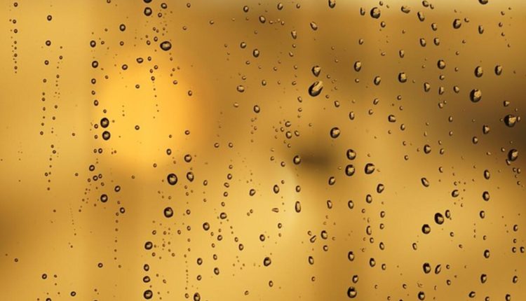 window film singapore