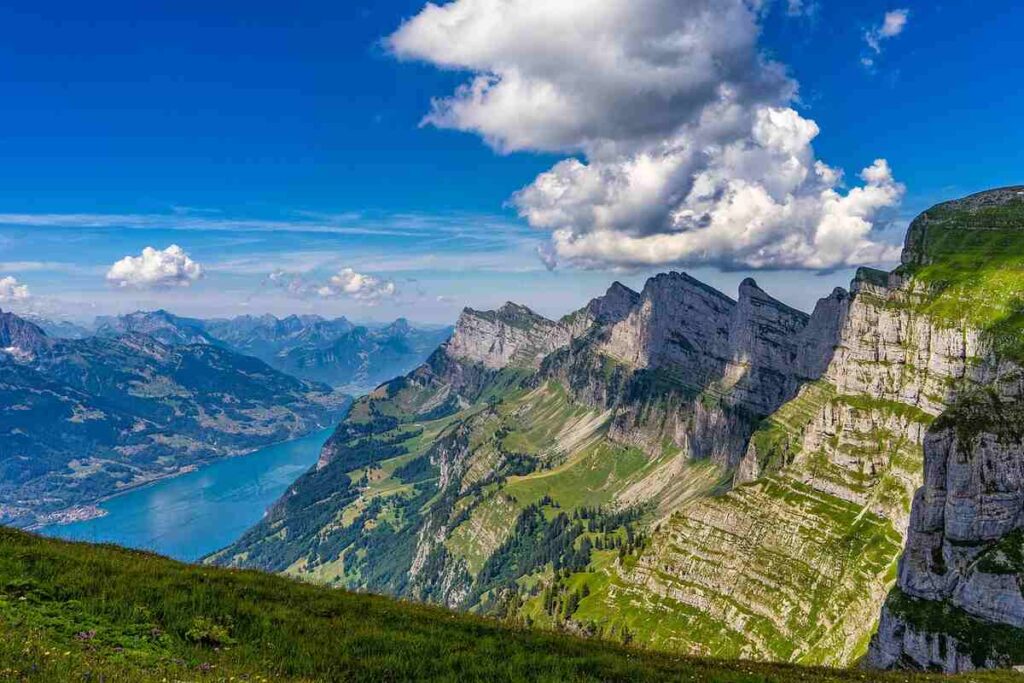 JFD Landscapes