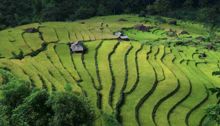 JFD Landscapes