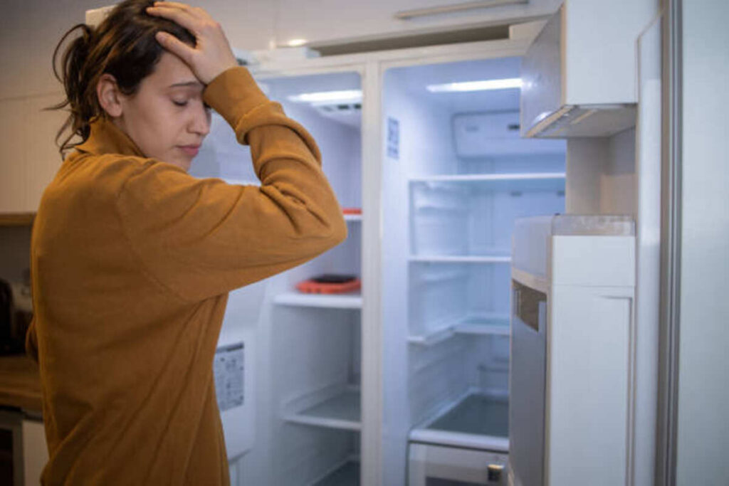 common refrigerator problem
