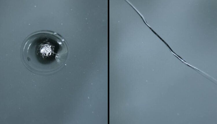 redwood city auto glass repair