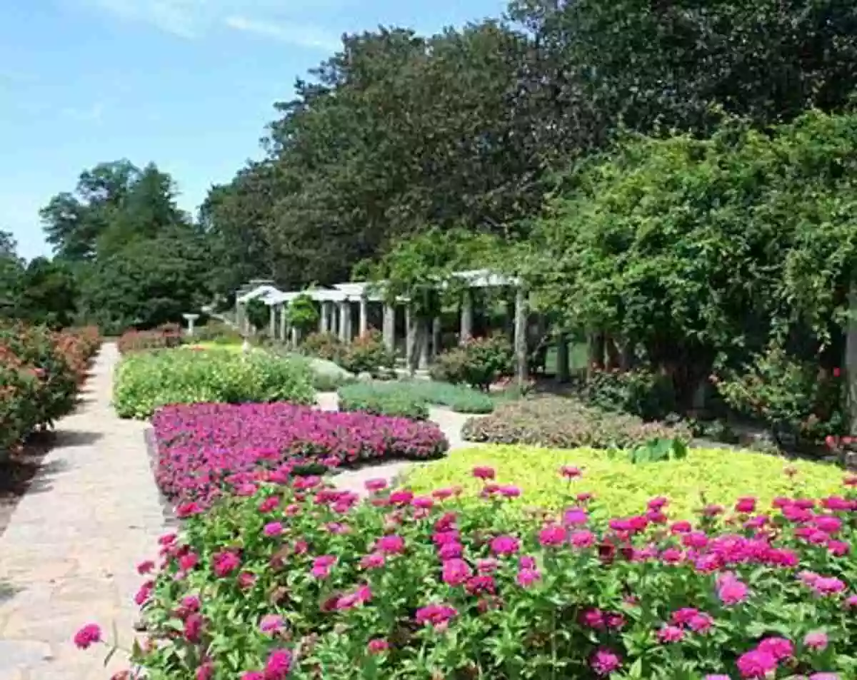 Shade Gardening