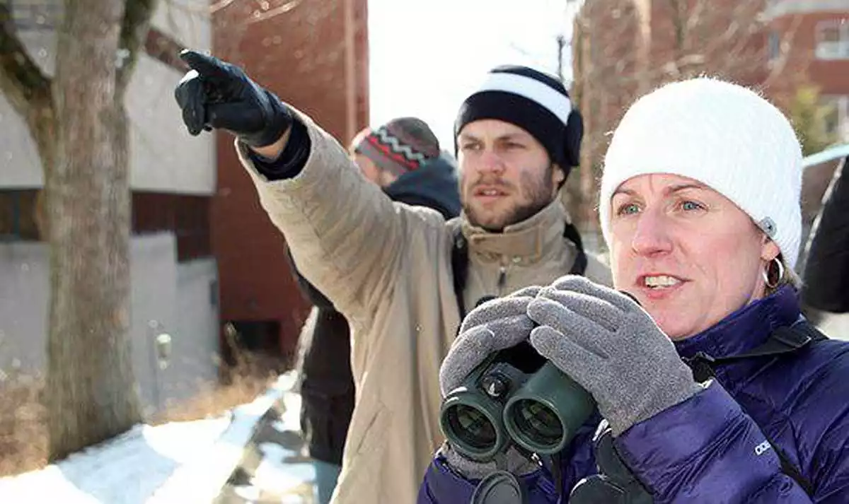 Birding Binoculars