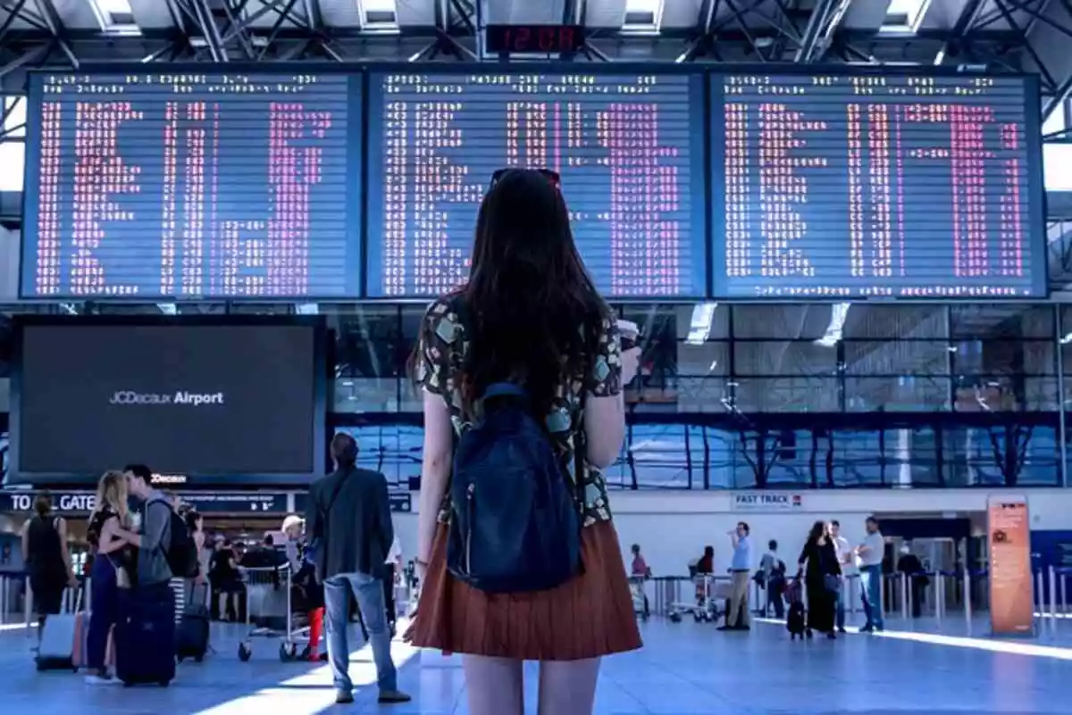 How To Easily Check Your Indigo Flight & PNR Status Online In A Few Simple Steps