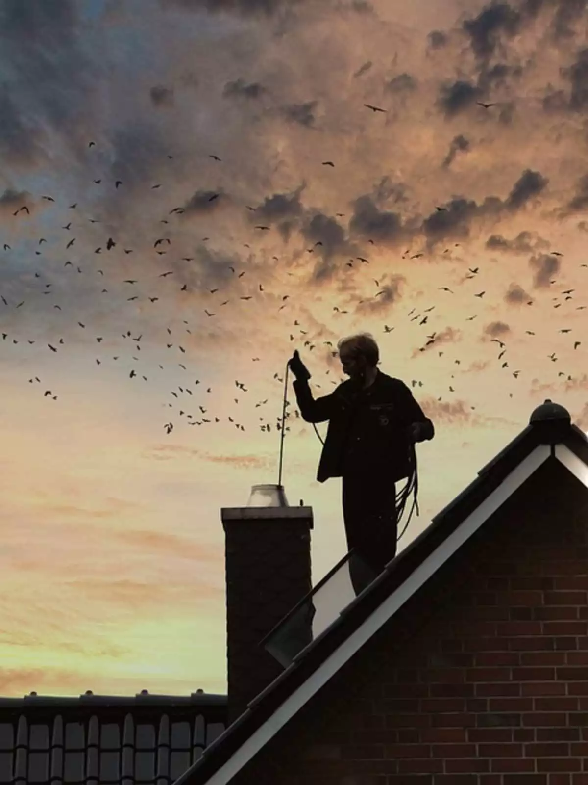 professional chimney sweep