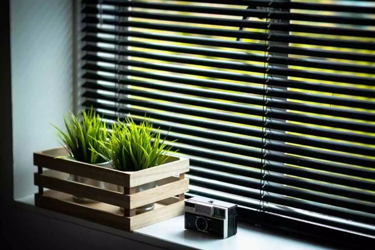 Maintain Venetian Window Blinds