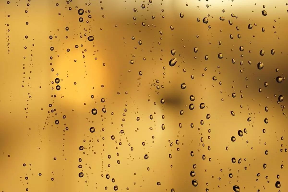 Privacy Window Film Singapore
